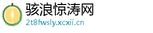 骇浪惊涛网